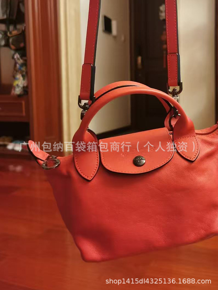 新款法式龙镶包小羊皮迷你饺子包时尚百搭单肩包斜挎手提跨境女包 - Thumbnail 10