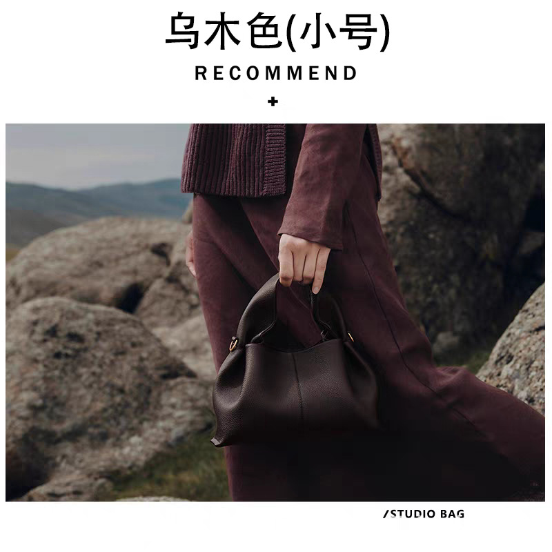 poleno饺子包2026新款包法式小众品牌单肩斜挎包牛皮手提包云朵包 - Thumbnail 7
